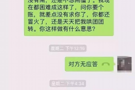 宝山为什么选择专业追讨公司来处理您的债务纠纷？